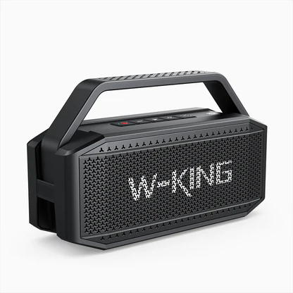 W-King D9-1 Party Portable Speaker 